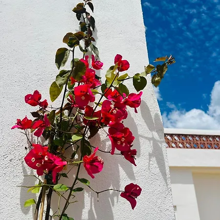 Templo Sotogrande Appartement Buitenkant foto